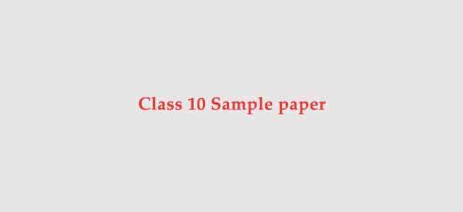 Class 10 Sample paper